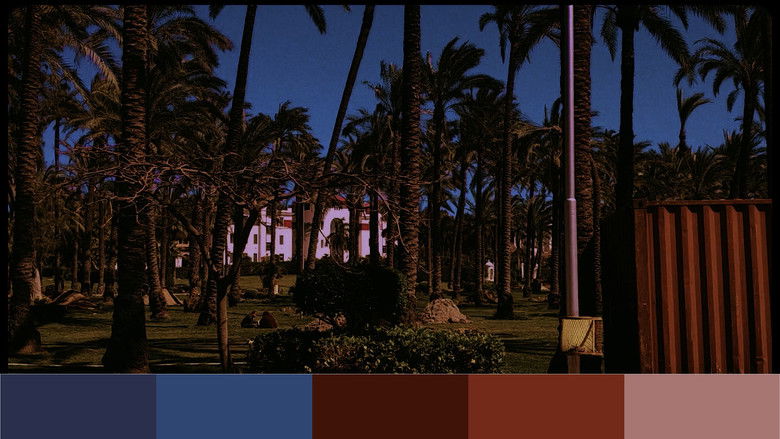 Imatge de Plastic Heads