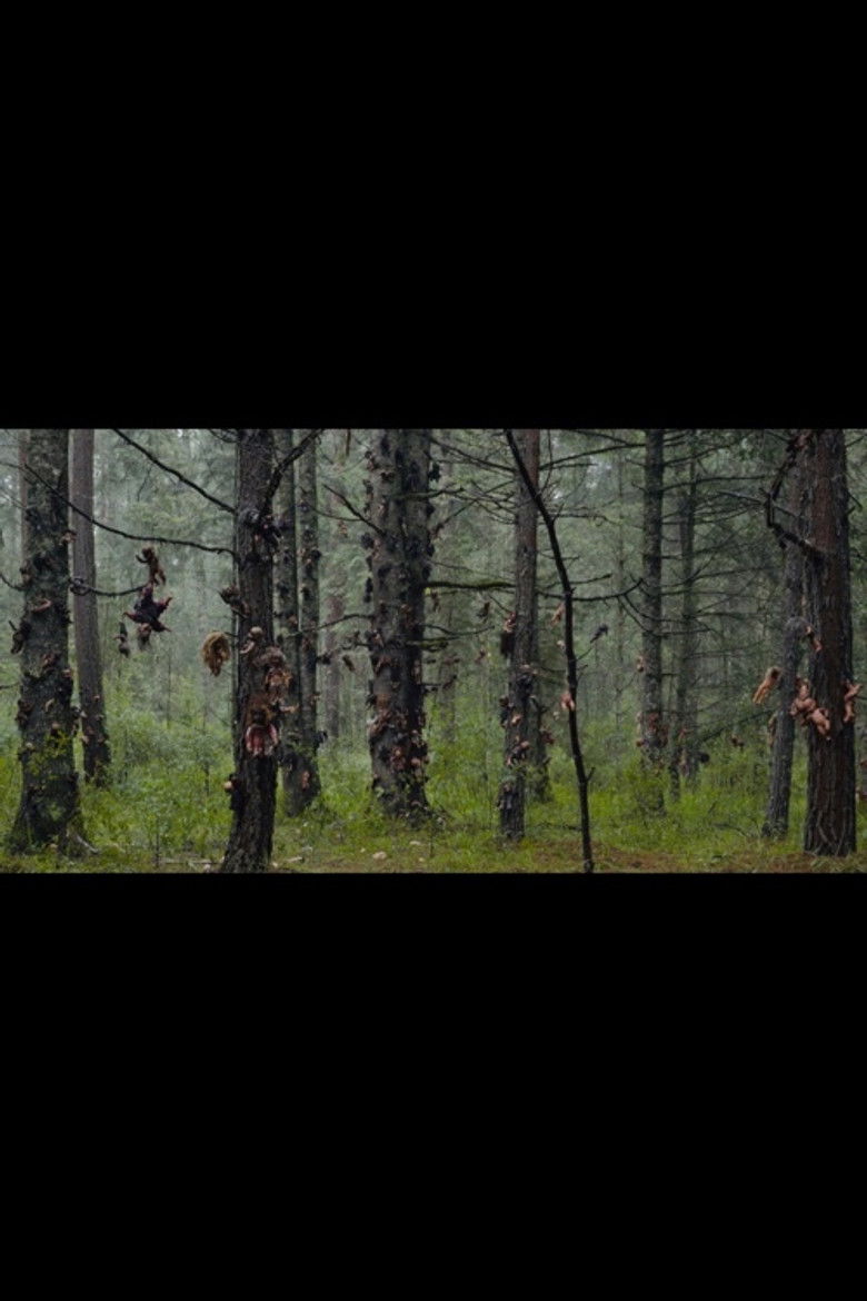 Imatge de La isla de las Muñecas