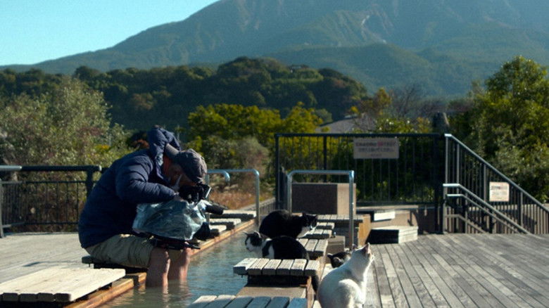 Still image for Mitsuaki Iwago's World “Cats” Travelogue season 1 episode 108: Kagoshima Still image for Mitsuaki Iwago's World “Cats” Travelogue season 1 episode 108: Kagoshima