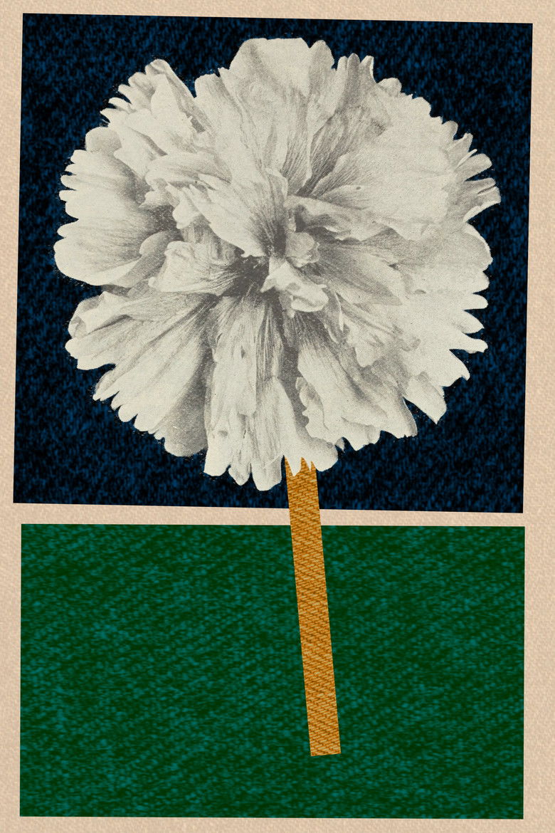 Imatge de Hagen attmed havet