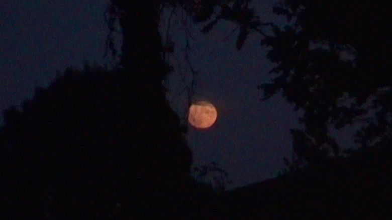 Gallery image from oOqvqxWf8olvcphTyXXtNDa8jYv.jpg