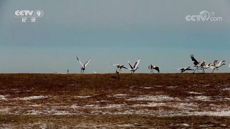 Still image for 乘着绿皮车去旅行 season 1 episode 3: Episode 3