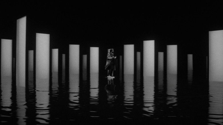 Gallery image from oP2kNQWkwCvpnOyf7UsgDwdD65N.jpg