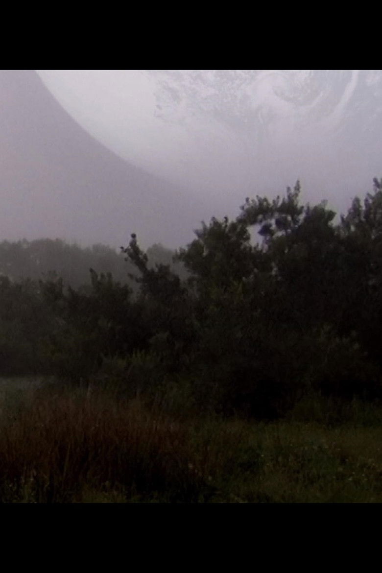 Imatge de La Forêt de l'espace