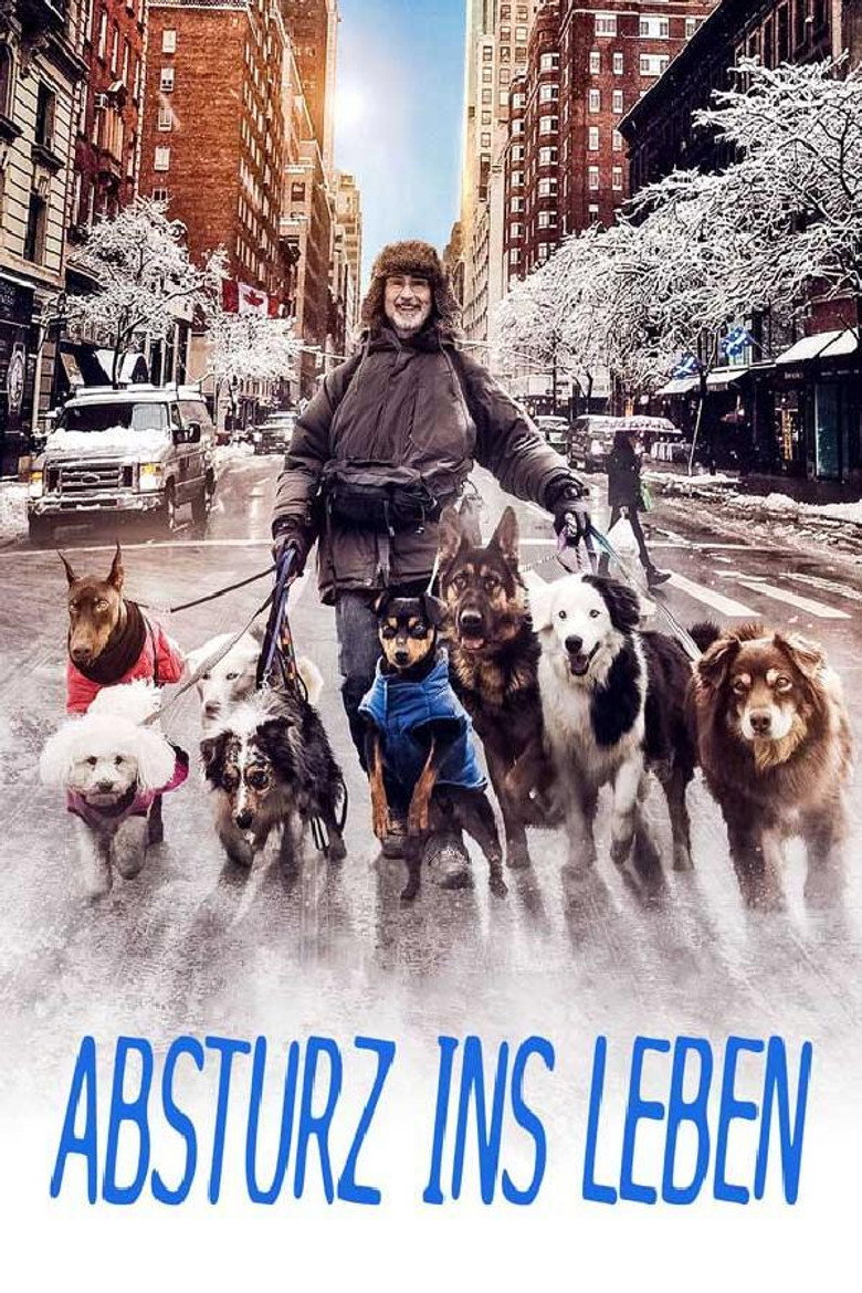 Filmplakat zu Absturz ins Leben