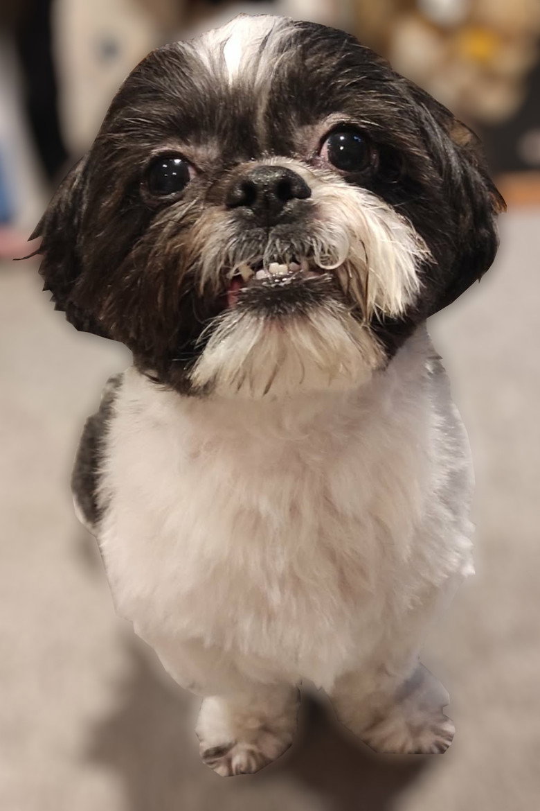 Photo de Luna