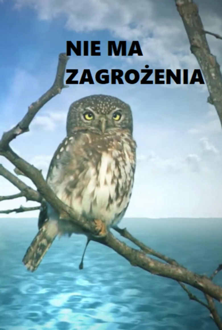 Nie ma zagrożenia