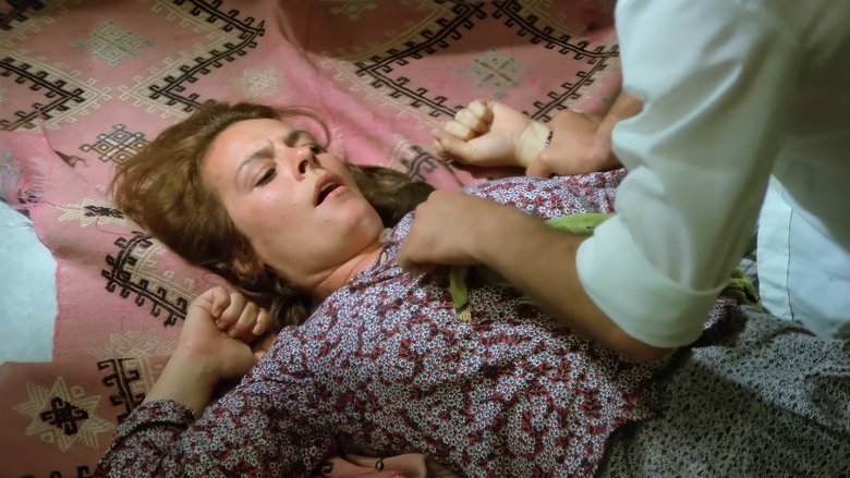 Gallery image from oQDfudlJZy7JcutB8hSe9rXaymT.jpg