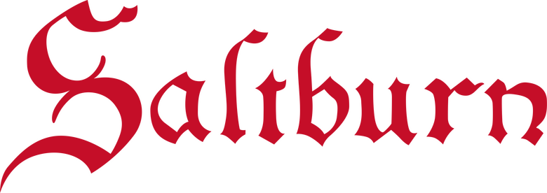 Imagen de Saltburn