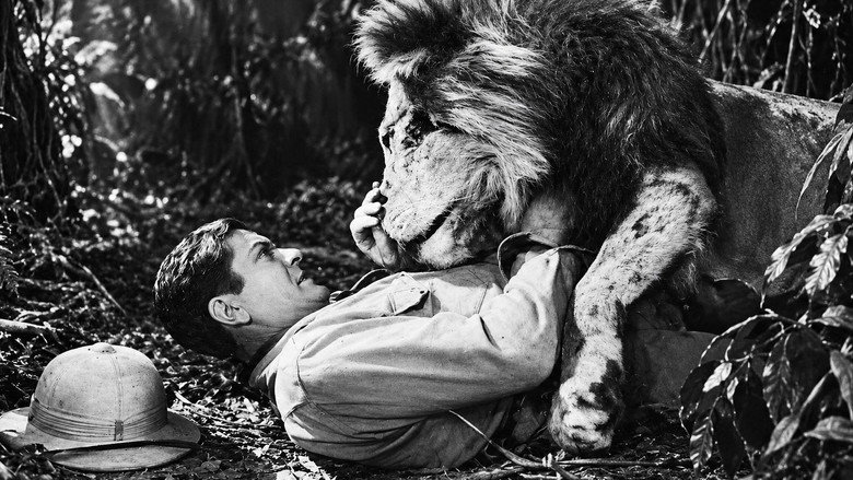 Jungle Jim image 2