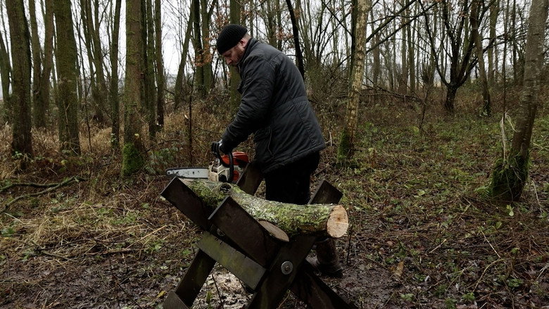 Imatge de A Choppy Birthday