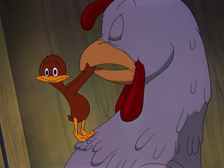 The Squawkin' Hawk