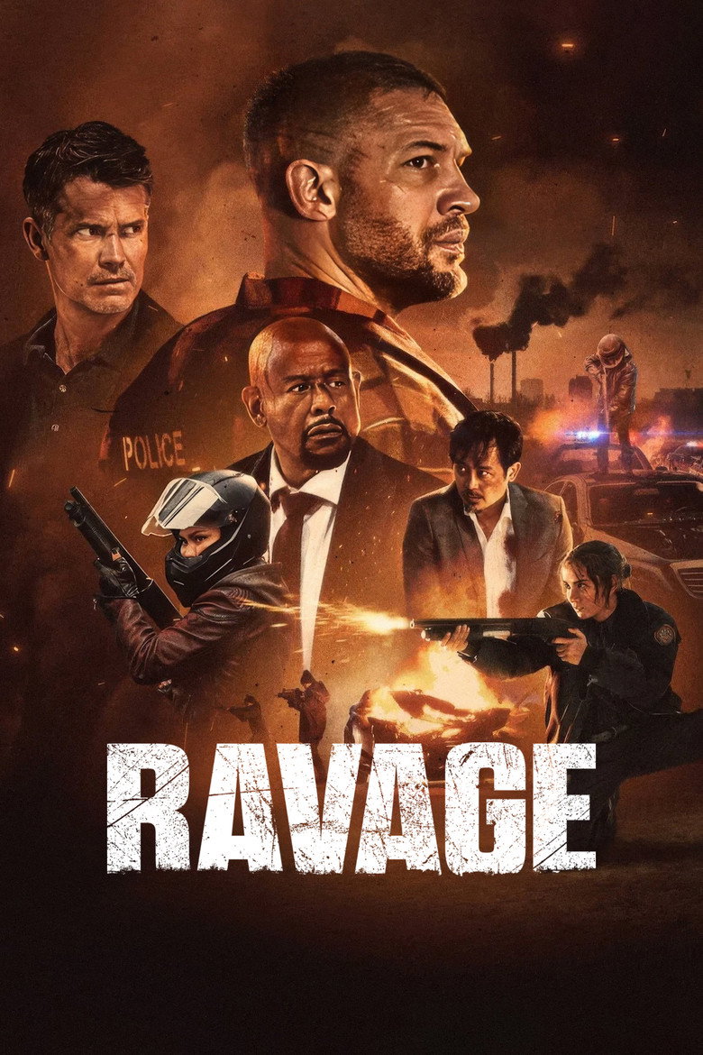 Póster la Película