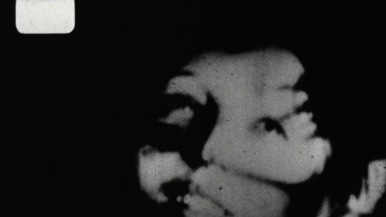 Gallery image from oSEVI0pqDsrJU00vRyoimIJOxWR.jpg