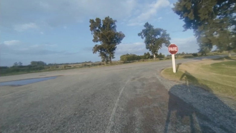 Imatge de El viento y todos los tiempos