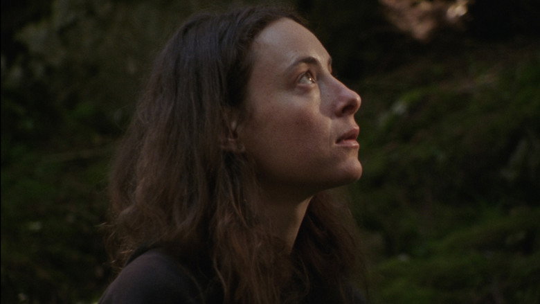 Image d'arrière-plan 1 du film Forêt Ivre