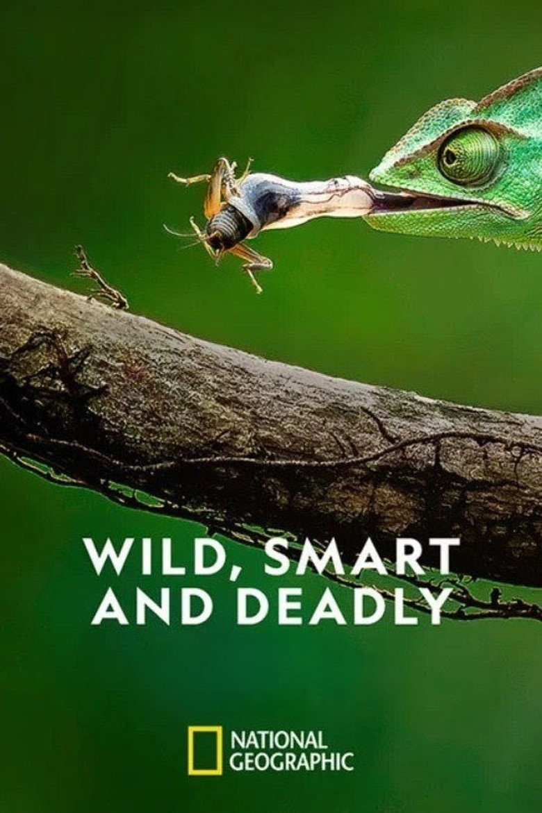 Official poster for Wild, Smart and Deadly