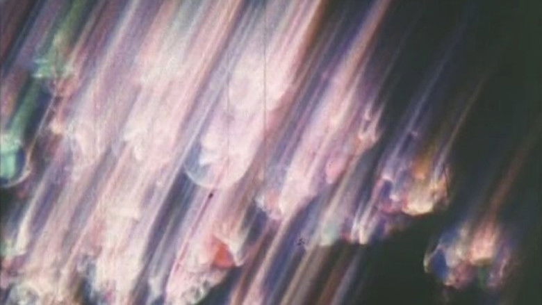 Our Lady of Paris (1982)