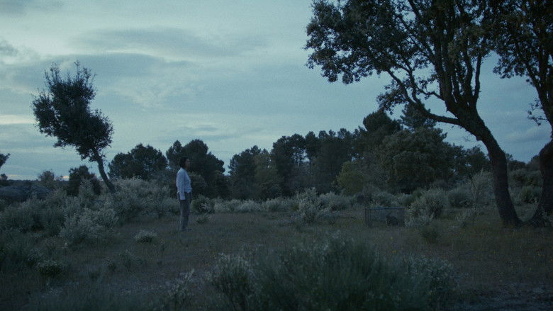 Gallery image from oTjQYkgMJq8Sr6xBEWySR3jp5ea.jpg