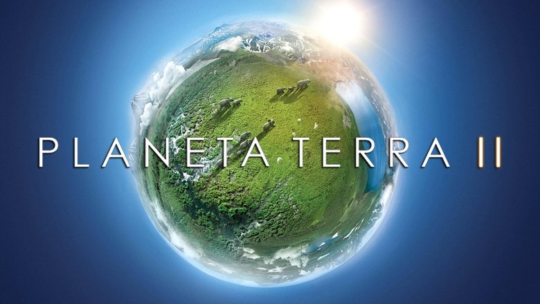 Gallery image from oUBXpbhC2weKexjG4XtppD2alnT.jpg