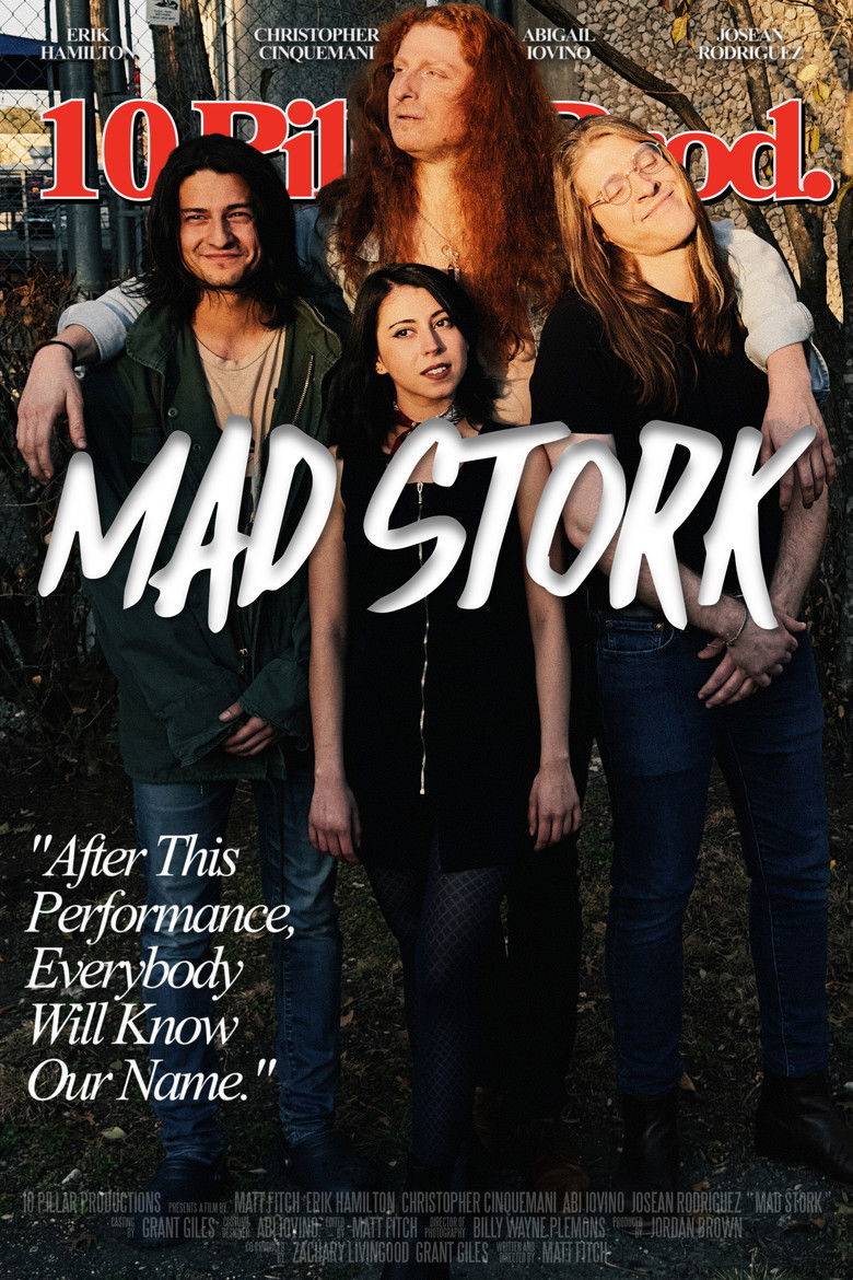Imatge de Mad Stork