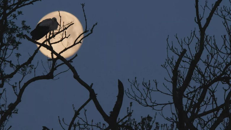 Still image for Au cœur des parcs régionaux naturels de France season 1 episode 3: Episode 3