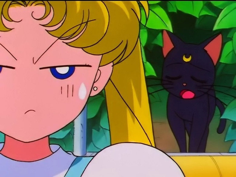 Still from Sailor Moon - Season 5 Episode 15