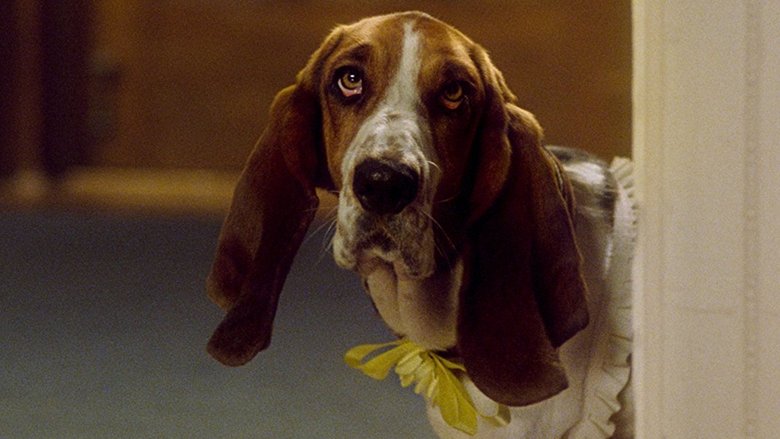 The Duke (1999)
