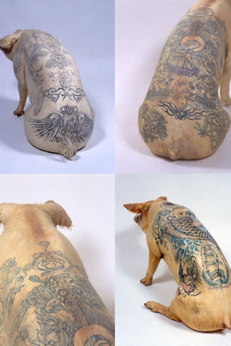 Imatge de De l'art et du cochon