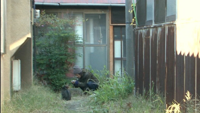 Image d'arrière-plan 6 du film 私は猫ストーカー