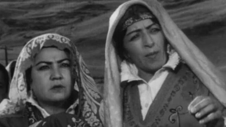 Gallery image from oaLdlykBHzhxZYYedhqo0W2Avxa.jpg