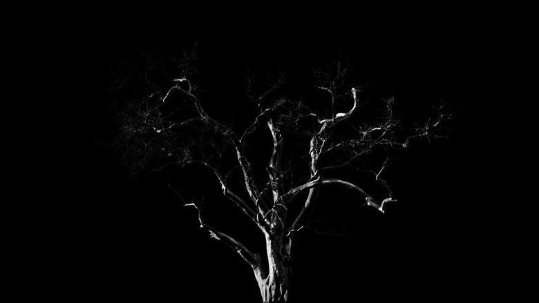 Imatge de Dreams, Confessions and The End Of The World