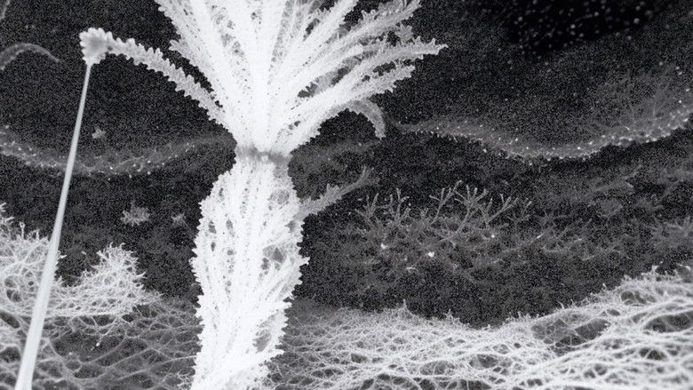 Echoes Between Seeing #3