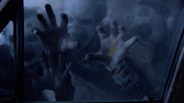 Night Shadows Photo 1