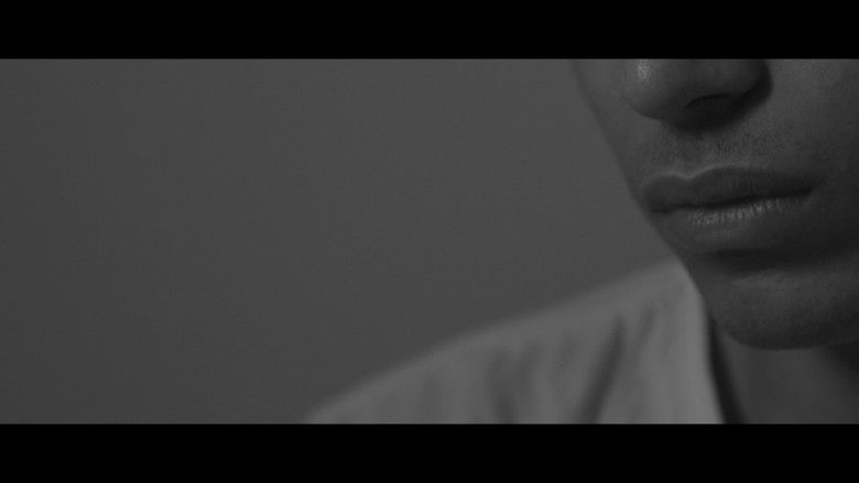 Gallery image from obpA1TbFOsc1R1ypYy4fzWLLdVD.jpg