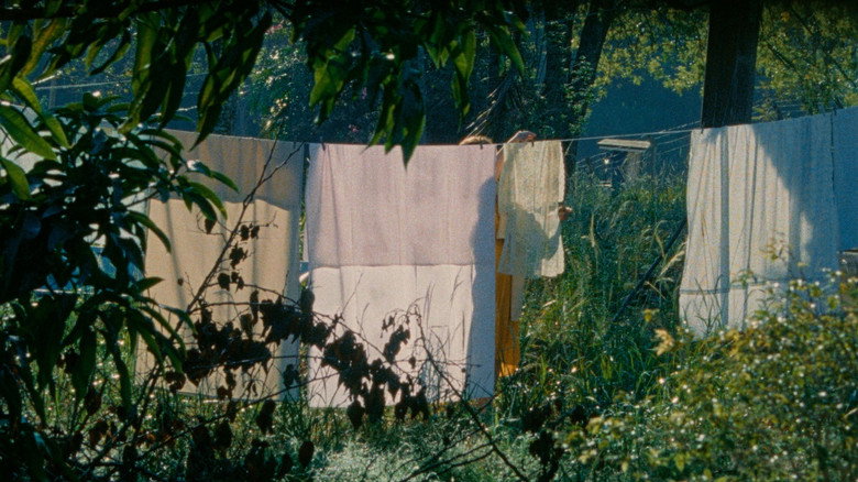 Imatge de Tarde no Planeta