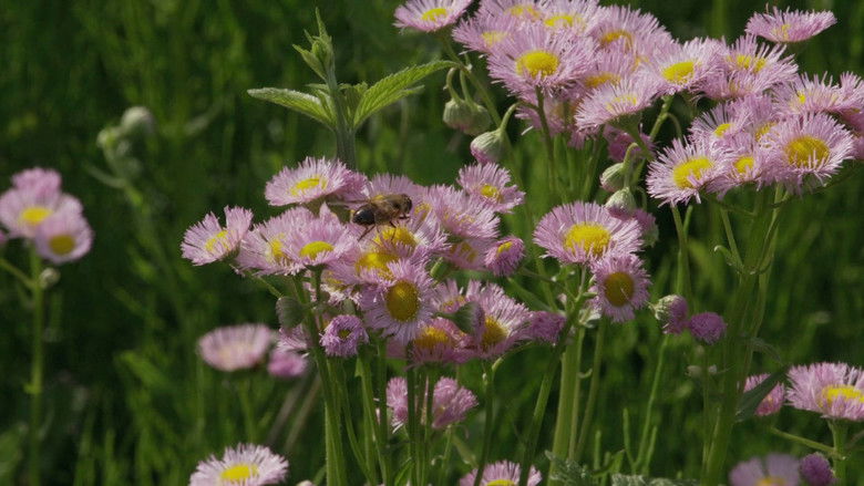 Gallery image from ocxGmMqH5ZUXl5jV9yMZTBNMv6l.jpg