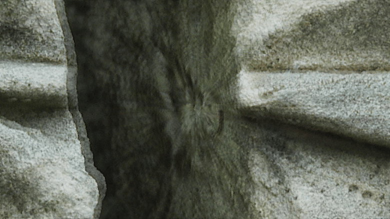 Looking for the Expression of Tuileries' Firestarters Screenshot 5