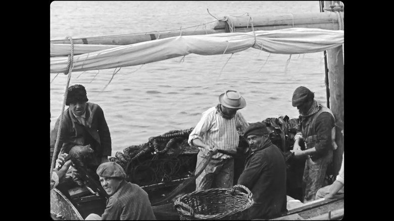 Sardine fishing main backdrop