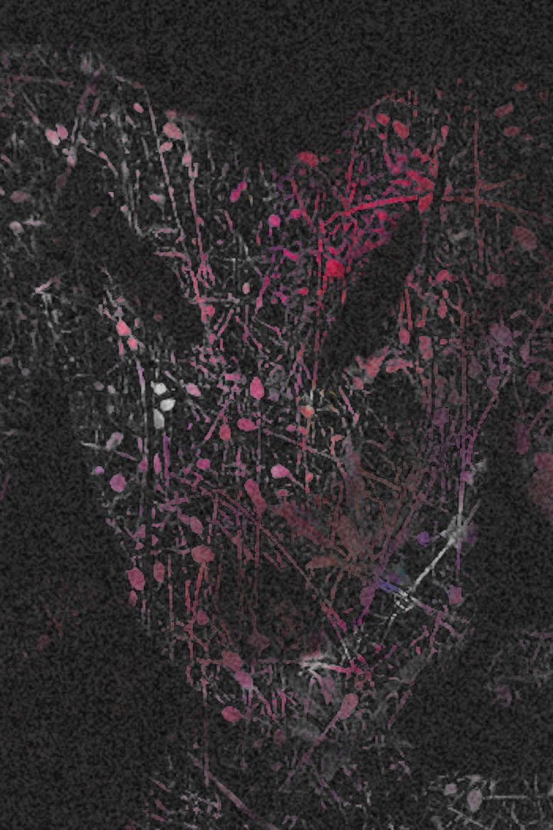 Imatge de howtobakeacake