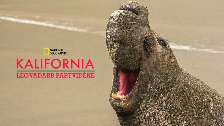 California's Wild Coast backdrop