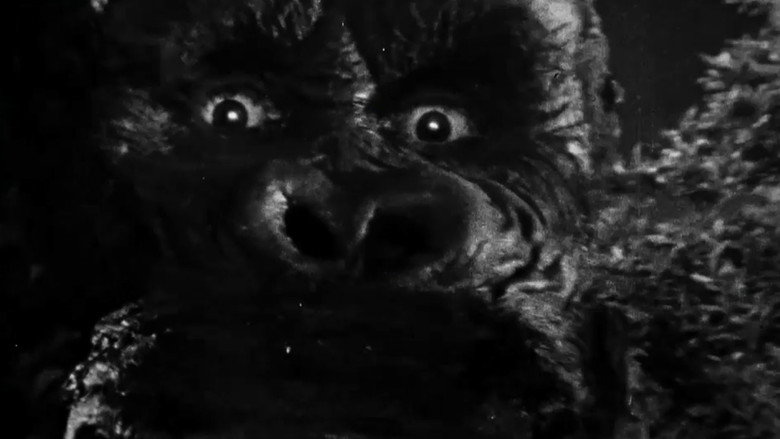 Imatge de « King Kong » : le cœur des ténèbres