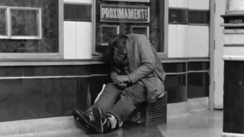 Gallery image from ofRyQVjXtOGafXOExNu3FKMvxlu.jpg