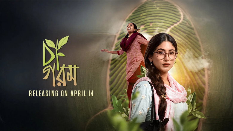 Gallery image from ofeX6zcd81uZL6hBGIzzSrnmVMz.jpg