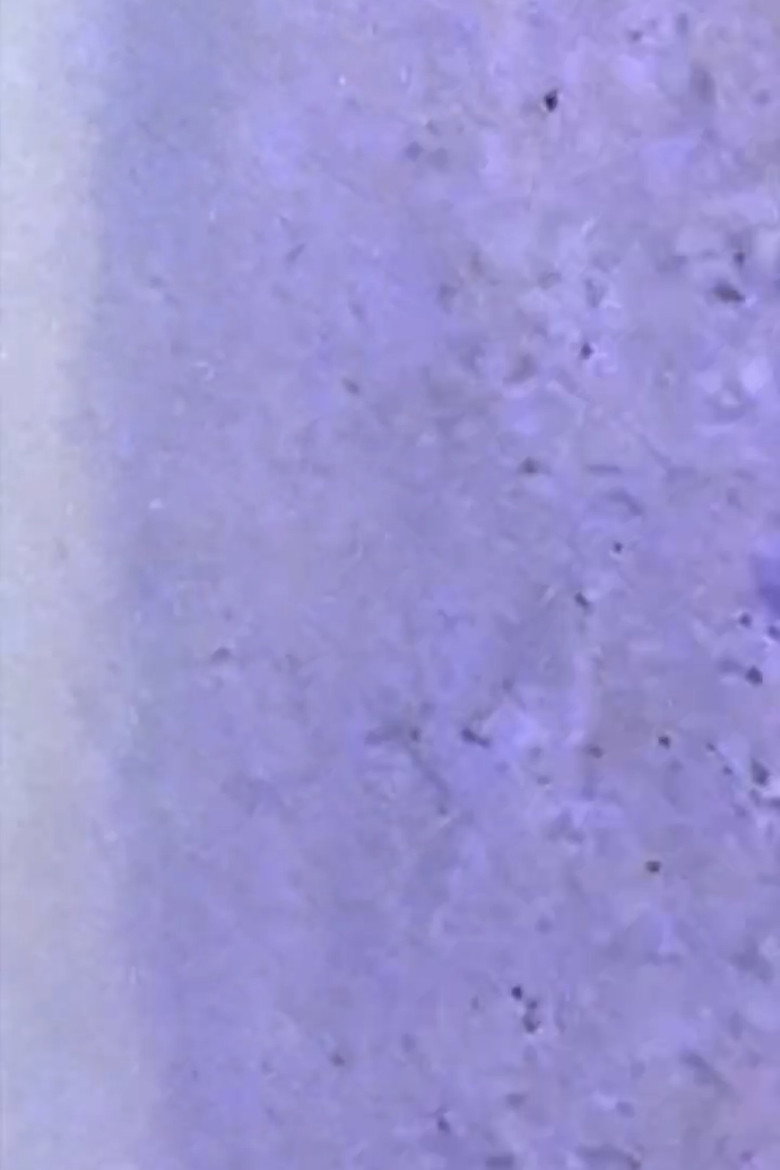 Modern Times backdrop preview