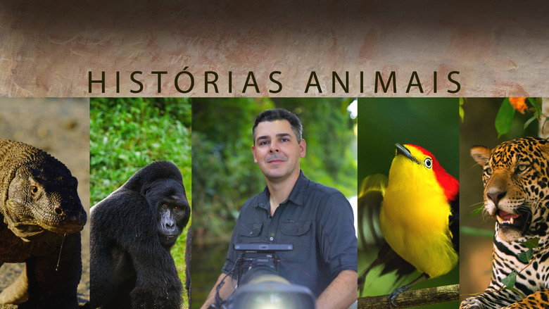 Assistir Histórias de Animais 1x2 Online