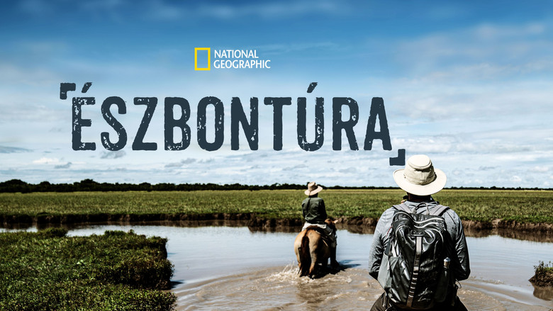 Gallery image from ogS7OCUSNo6DRkG7vmkY4aY9dzU.jpg