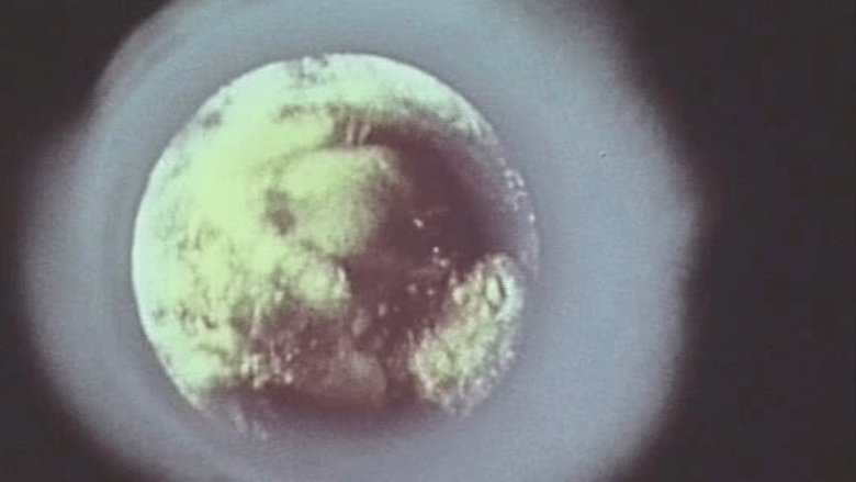 Biosphere! Time to Apprehend (1974)