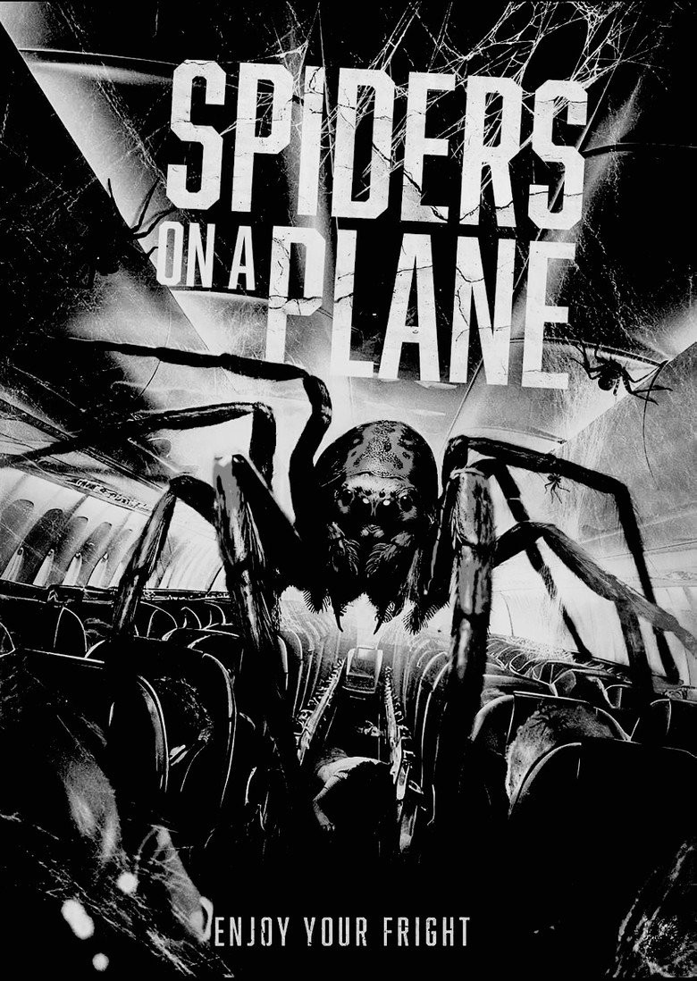 Imatge de Spiders on a Plane