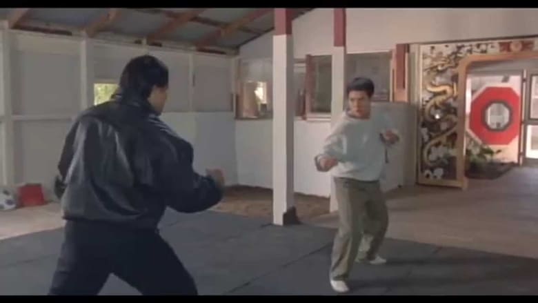 Jet Li - Dragon Fighter